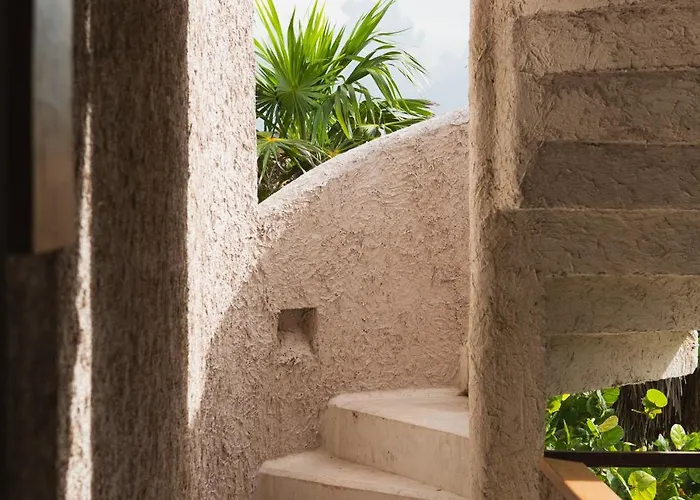 Pocna 3*
