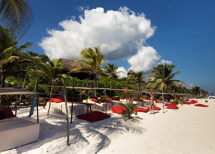 Pocna Hotel Tulum