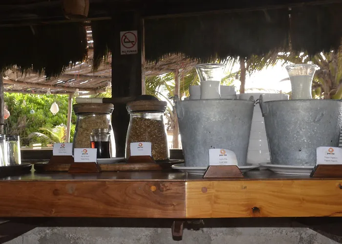 Pocna Hotel Tulum