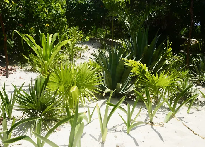 Pocna 3* Tulum