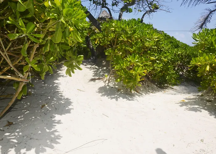Pocna Hotel Tulum