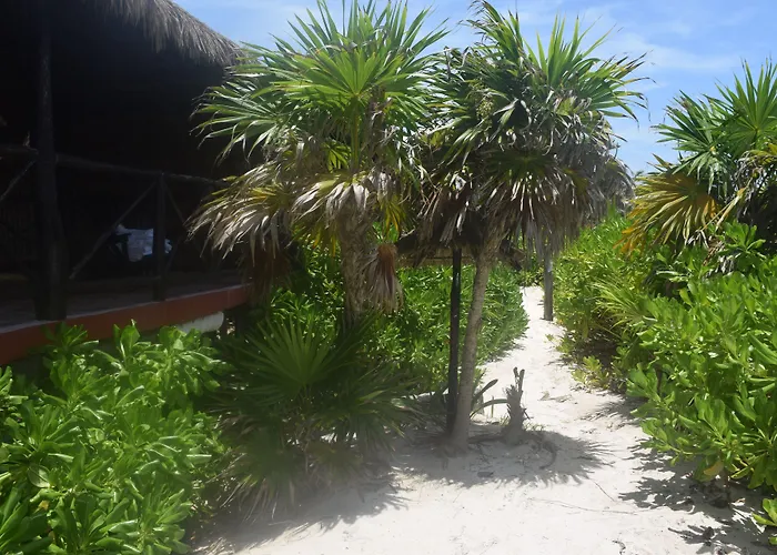 Pocna Tulum