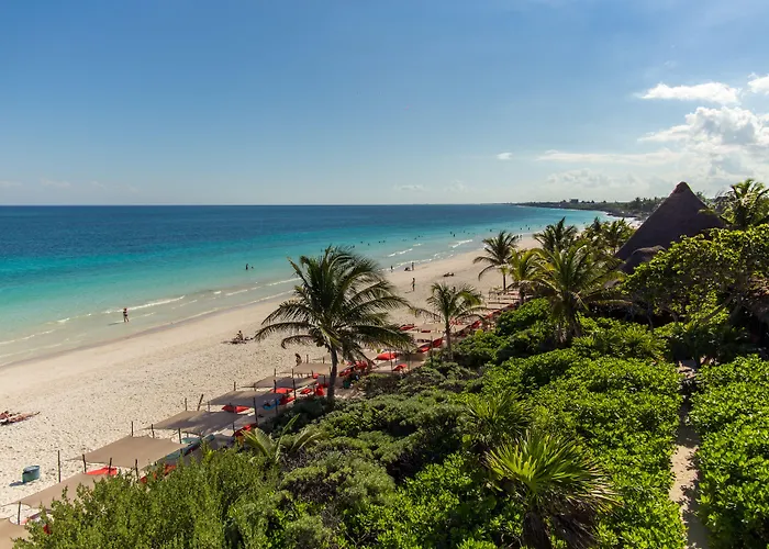 Pocna Hotel Tulum