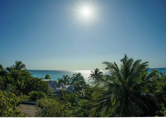Pocna Hotel Tulum